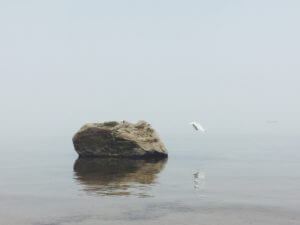 boulder in the water
