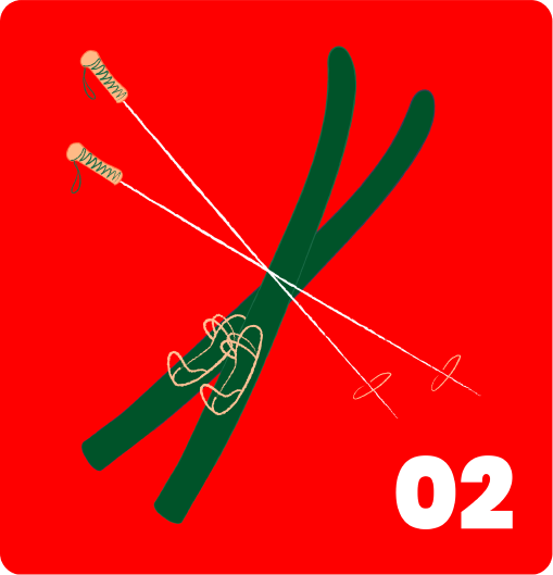 Advent Calendar Day 2